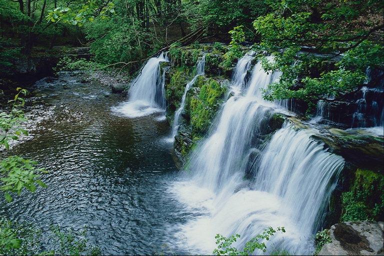 forest waterfalls